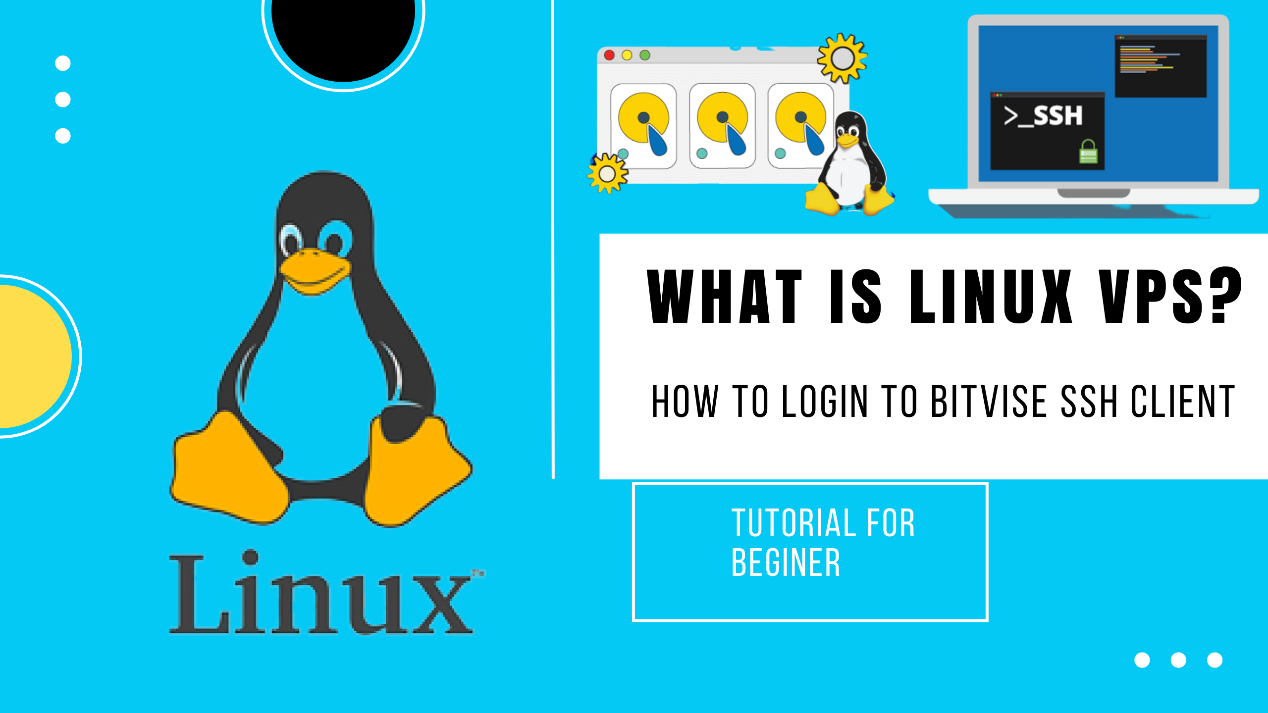 What is Linux VPS? How to Login to Bitvise SSH Client