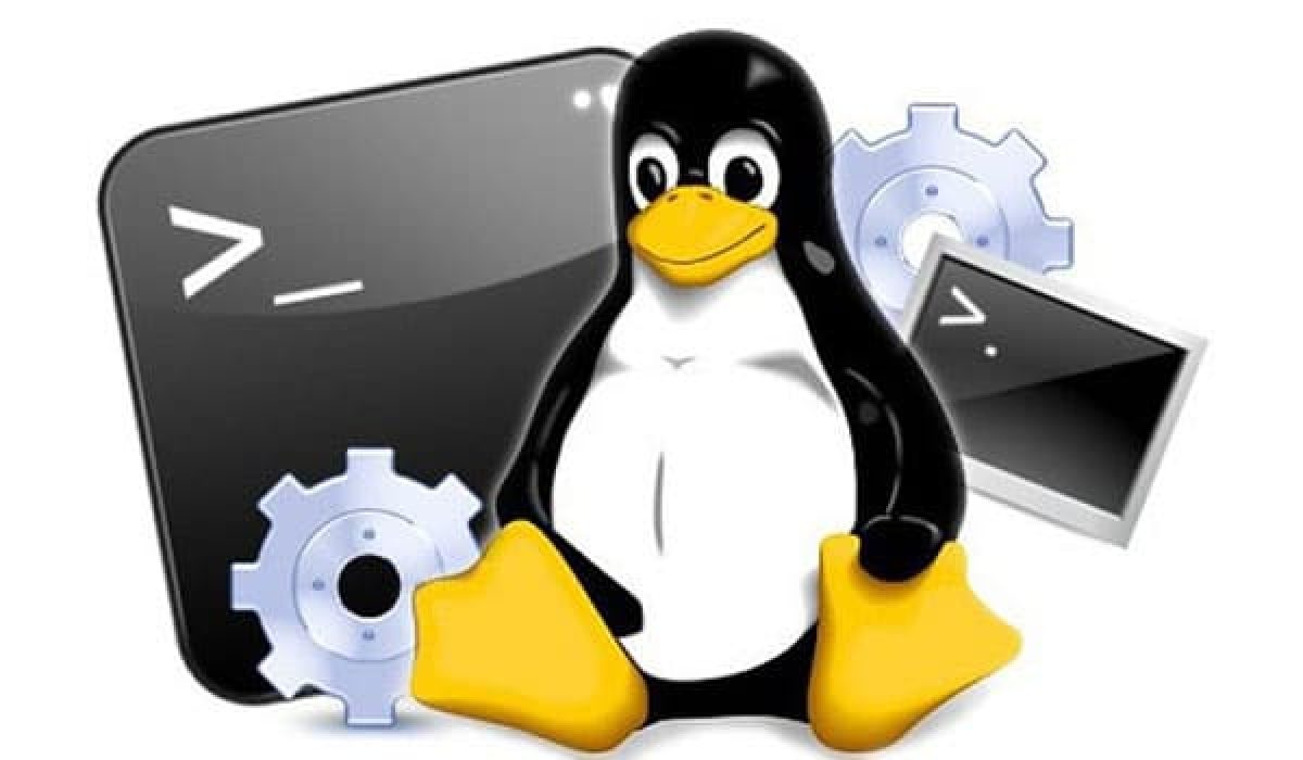 Linux là gì? Tổng hợp mọi kiến thức về hệ điều hành Linux - Trung tâm hỗ trợ kỹ thuật | MATBAO.NET