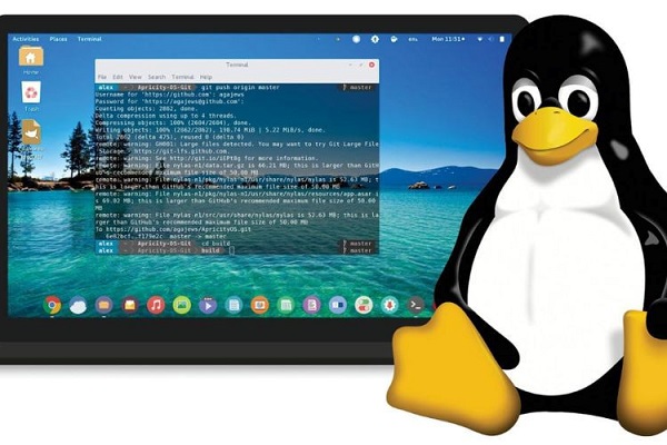 10 bản phân phối Linux tốt nhất dành cho nhà phát triển
